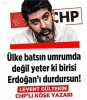 levent gültekin / #1627411