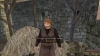 mount and blade bannerlord / #2005320