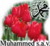 hz muhammed / #2425869
