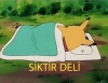 kadının yeri dört duvar arasıdır / #1129781