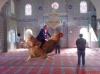 oy atacağın kişiyle dalga geçebilme özgürlüğü / #1694909