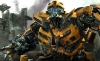 bumblebee