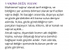 am gibi muhteşem bir kelime yerine vajina demek / #2348267