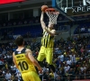 jan vesely