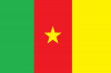 kamerun bayrağı