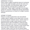 nur içinde yatmak vs ışıklar içinde uyumak / #1613457