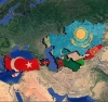 türk birliği
