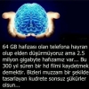 insan beyninin 2 5 milyon gb olması