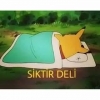bir daha kimseyi onu sevdiğim gibi sevemem hissi / #1426622