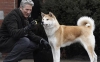 hachiko