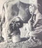 165 cm boyundayım süt içsem uzar mı sorunsalı / #2181970