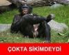 kusura bakmayın ama iyi parti yi bırakıyorum / #1566302