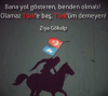 olamaz türk e baş türk üm diyemeyen