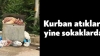 bik bik in sözlüğe atacağı sakatat fotoğrafı / #2241753