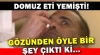 domuz yiyen gavurların domuza benzemesi / #1962998