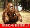 sözlük yazarlarının saygı duymadığı konular / #1316138