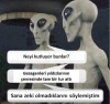 yeni yıl kutlayan insan / #2344351