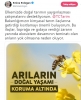 arıları yok etmeye çalışan küresel şirketler / #1785008
