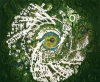 auroville / #1422980