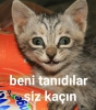 hiçbir whatsapp grubuna dahil olmayan insan / #1305674