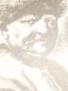 insan / #2425356