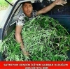 sözlük erkeklerinin fotoğrafları / #1304447