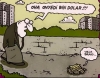 yerde kaç lira bulsanız tenezzül etmezsiniz / #1226304