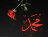 hz muhammed / #2425911