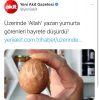 üzerinde allah yazan yumurta / #2128849