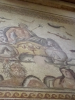 zeugma mozaik
