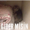 14 yaşında bakire bir kızla evlenir misiniz / #1134816