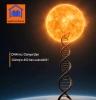 dna
