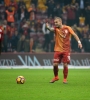 wesley sneijder