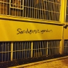 gecenin duvar yazısı / #1280638