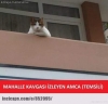 mahalle kavgası