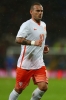 wesley sneijder