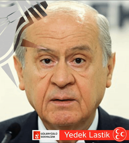 devlet bahçeli
