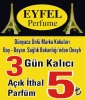 kalıcı olmalıyım / #1796569