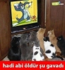 karı kızın kendi gelio teklif ettiği mekanlar / #1070994