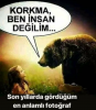 istanbulda 5 yaşındaki kız çocuğuna taciz skandalı / #1839492