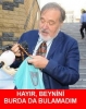 kurana göre güneşin dünyanın etrafında dönmesi / #1200632
