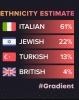 etnik köken testi