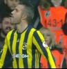 robin van persie