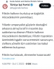 tip in filistin i desteklemesi / #2333180