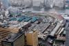 tsukiji balık pazarı / #1565760
