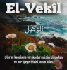 el vekil / #2247640