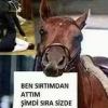 recep tayyip erdoğan / #1673987