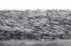 tunguska patlaması 30 haziran 1908