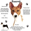 basenji