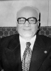sadi ırmak